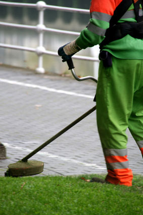 Servicio de mantenimiento de jardines en Alcorcon